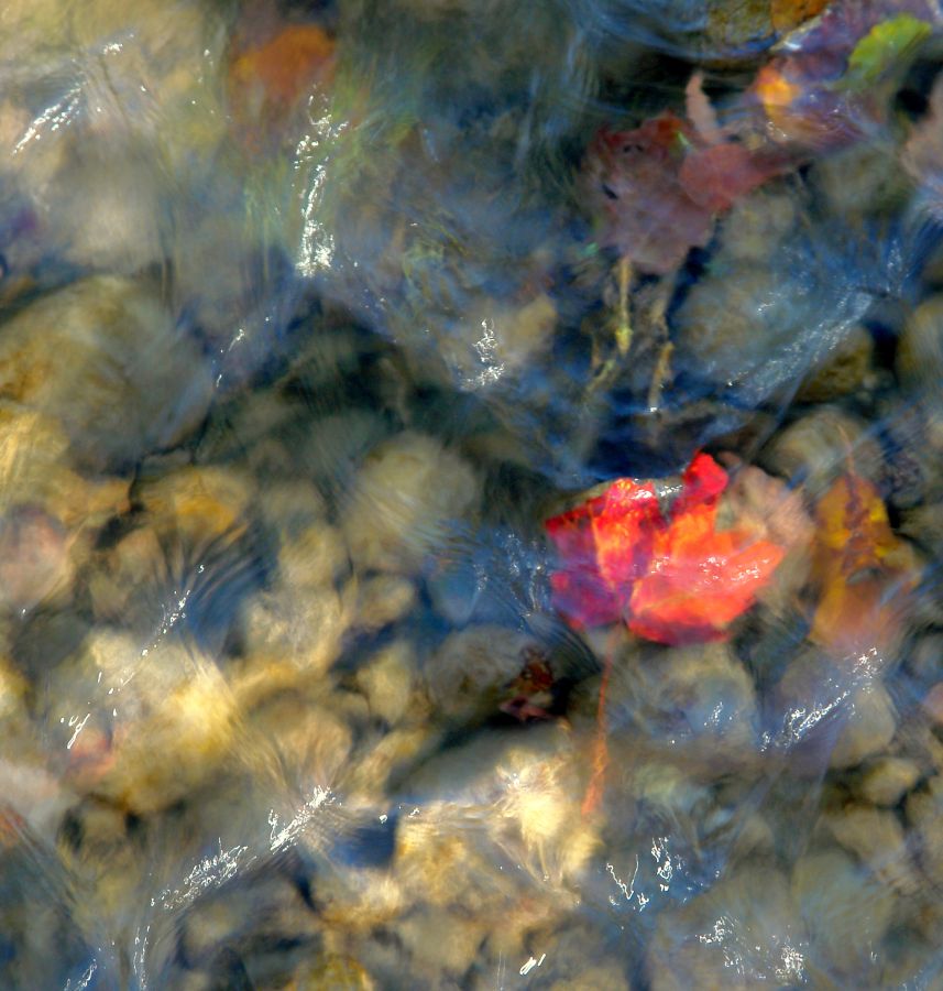 (012 18052) Days Pass Slowly By - Greenwood Conservation Area, Ajax, ON